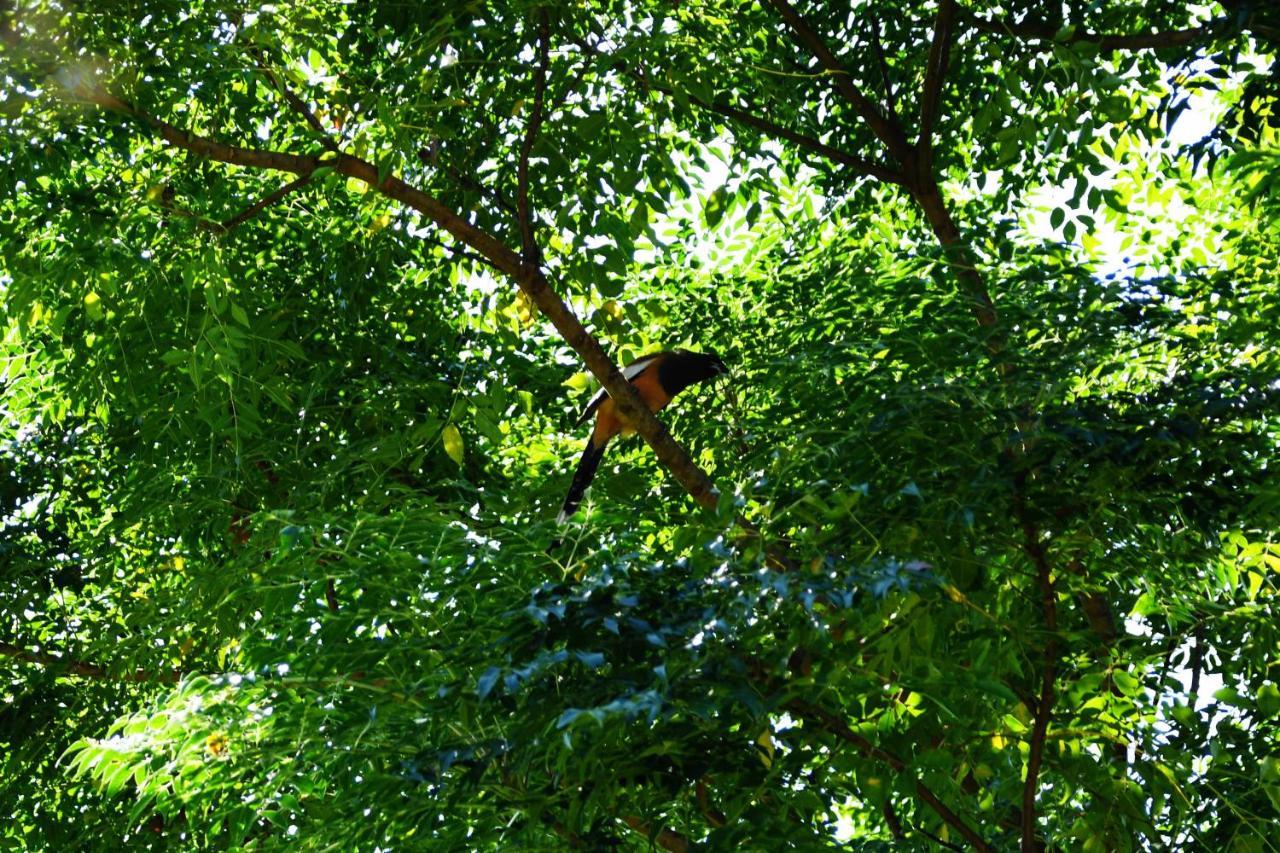 Shanta Ghar A Rustic Homestay