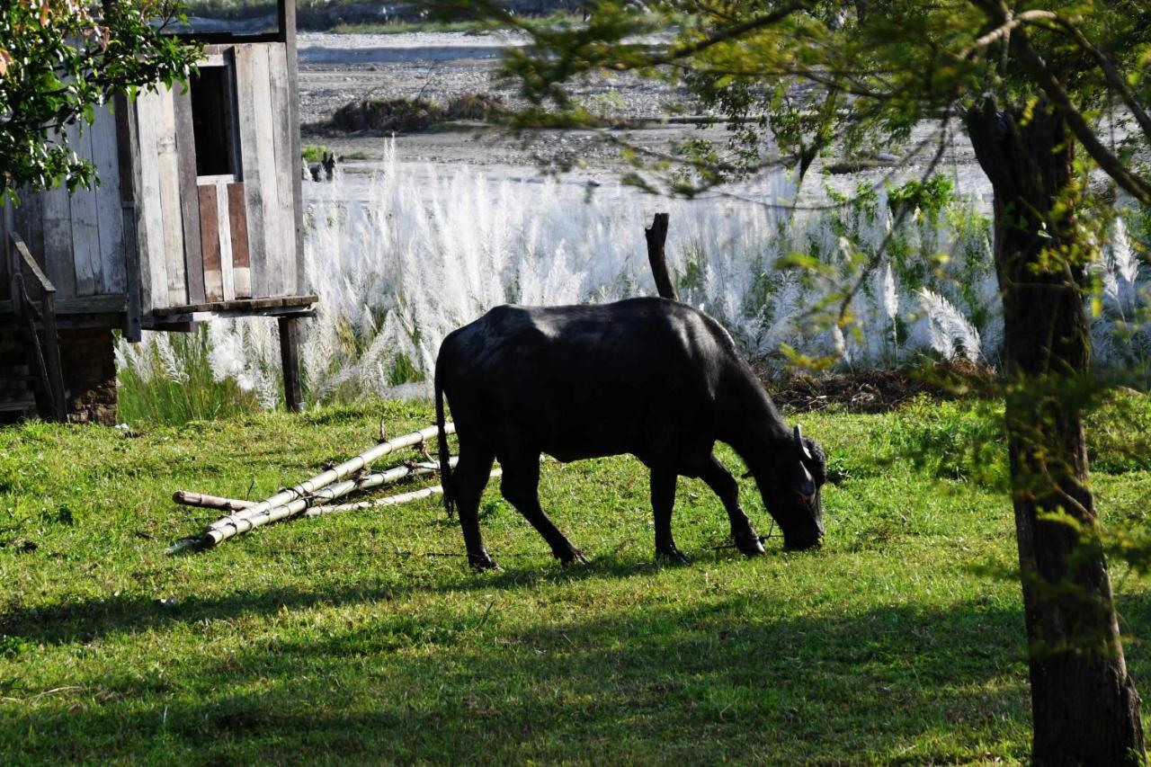 Shanta Ghar A Rustic * Chitwan
